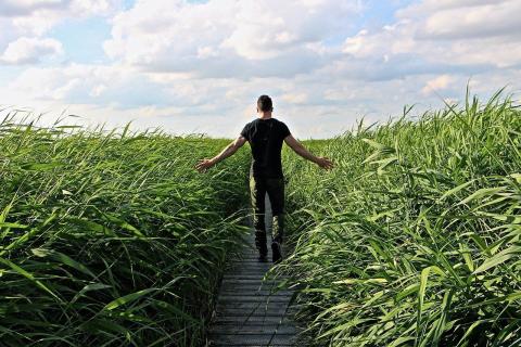 ZfE_Resilienz 3
