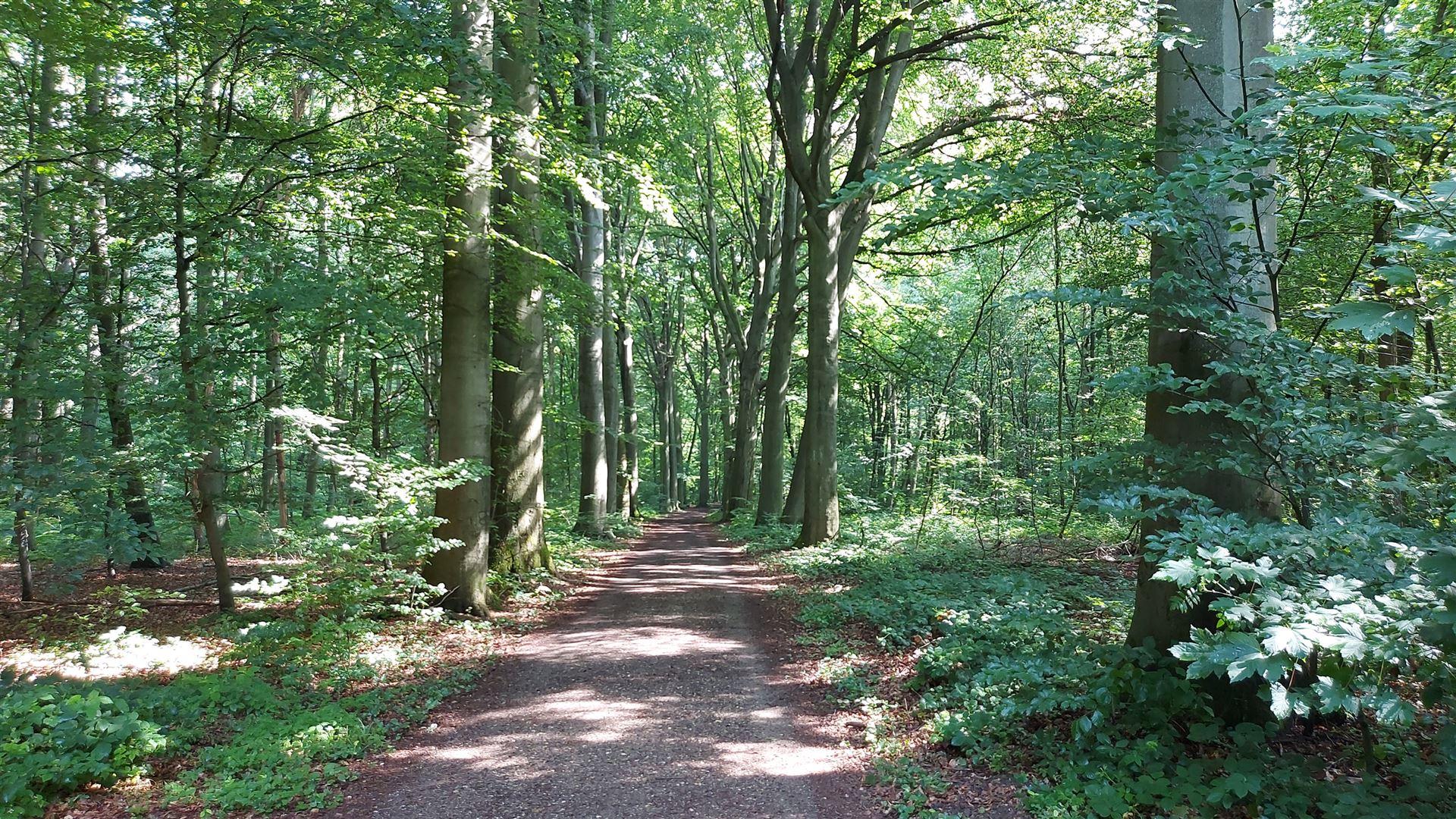 WEG